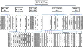 新東網(wǎng)科技 卓越網(wǎng)絡技術服務引領數(shù)字化未來
