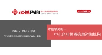泓域咨詢 中國領先的投資信息咨詢服務機構